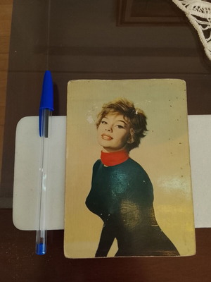 Vintage French postcard with actress Pascale Petit used