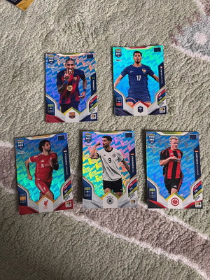 Panini Fans Favorite Blue 2026 cards like new