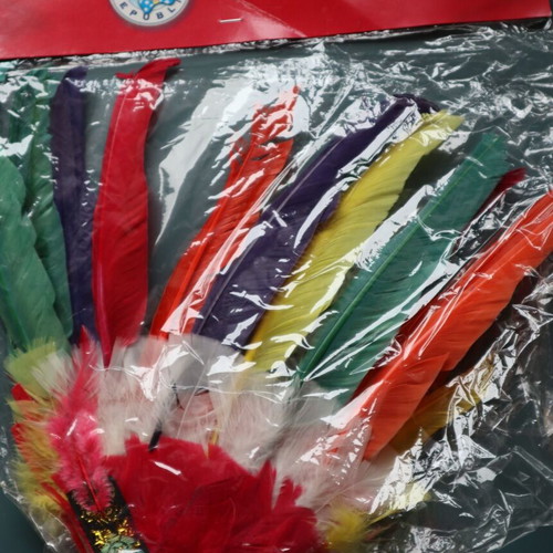 Carnival accessory for Indian costume feathers on head new