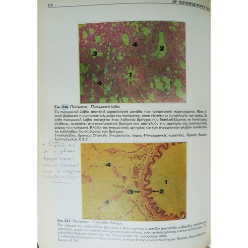 Imaging Histology Embryology Volume B used