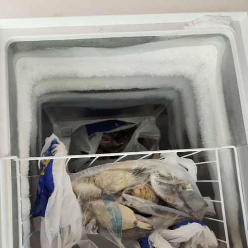 Philco Chest Freezer like new