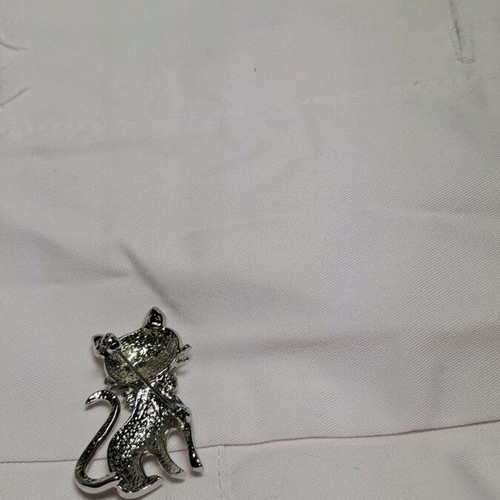 Cat brooch used
