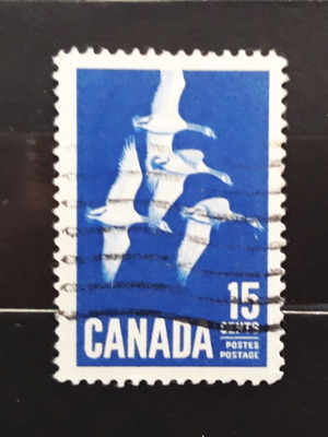 Γραμματόσημο Canada 1963 με μεταχειρισμένη εικόνα Canada Goose