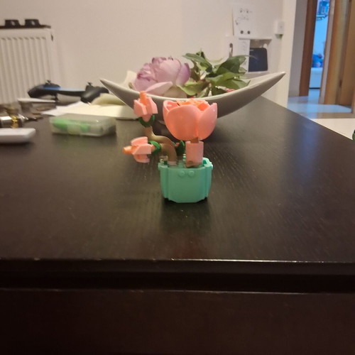 Decorative item new
