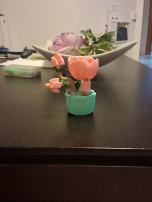 Decorative item new
