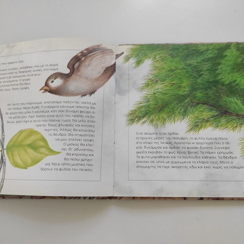 The Leaf That Did Not Want to Fall book like new