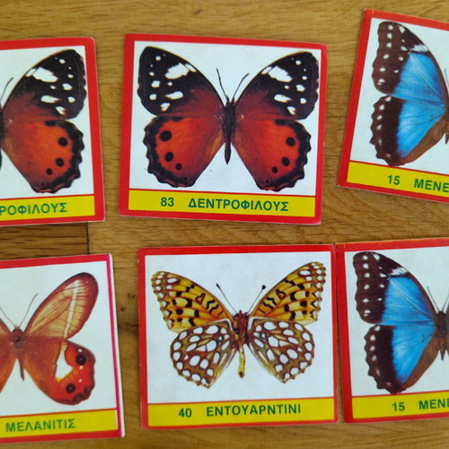 CAROUSEL BUTTERFLIES