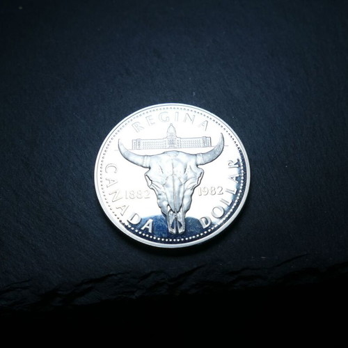 Silver coin Canada 1982 with case