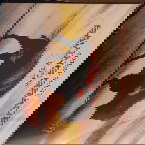 Robert Plant Saving Grace vinyl record new