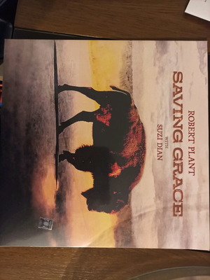 Robert Plant Saving Grace vinyl record new