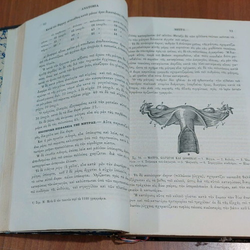 MAIEUTIC 1876 PAGES 238