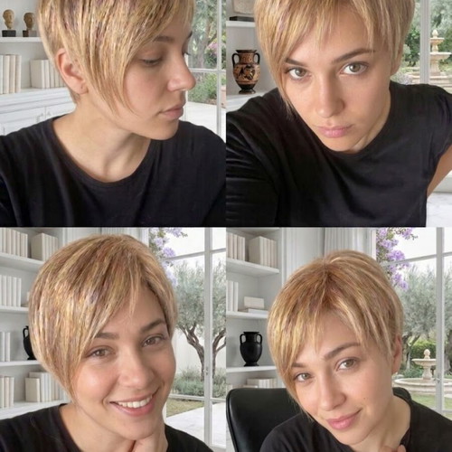 Gisela Mayer Modern Hair Collection wig like new, brown with highlights