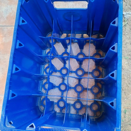 Pils Hellas crate 40x30 plastic used