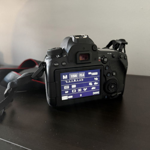Canon EOS 6D Mark II camera with EF 24-105mm f/3.5-5.6 IS STM lens