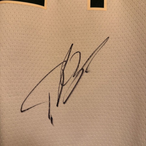 Authentic Giannis Antetokounmpo Nike Swingman Association Edition Jersey in Luxury Frame new