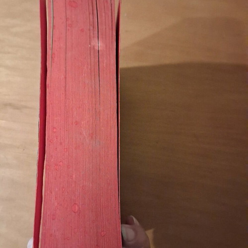The President's Daughter book used in English