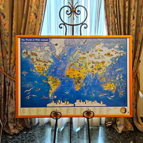 The World of Wild Animals Educational Poster like new, wooden frame