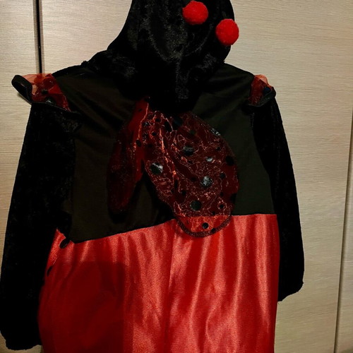 Ladybug costume baby 24 months like new for height up to 90cm