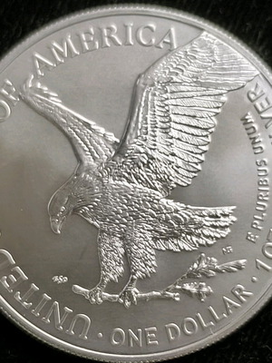 Eagle 2022 1oz .999 new