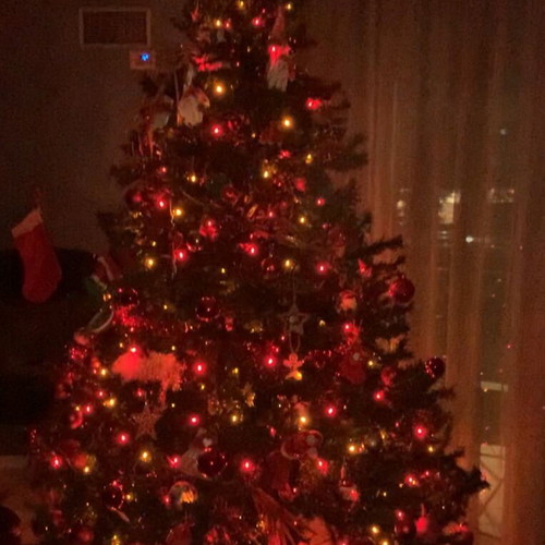 Christmas tree about 240 cm tall and 120 cm wide