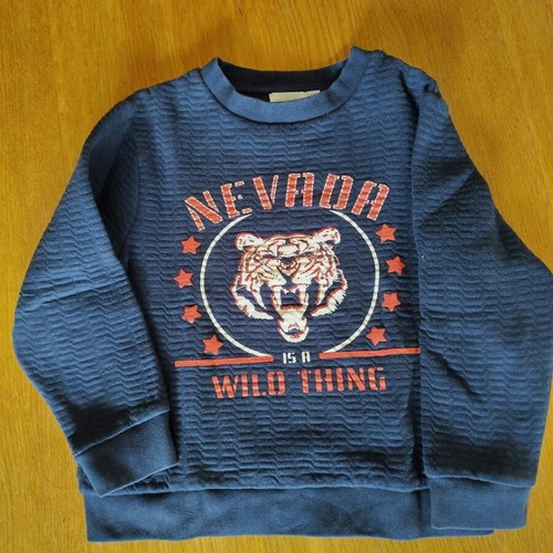 Orchestra sweatshirt used for boy 6 years old, size 116 cm, blue