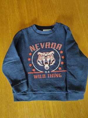 Orchestra sweatshirt used for boy 6 years old, size 116 cm, blue