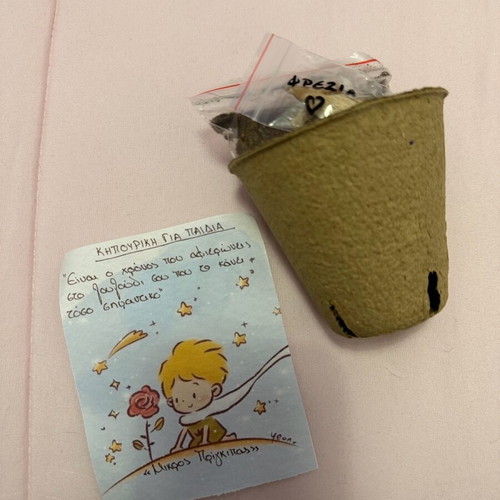 Gardening kit for kids new, pack with pot and freesia seed