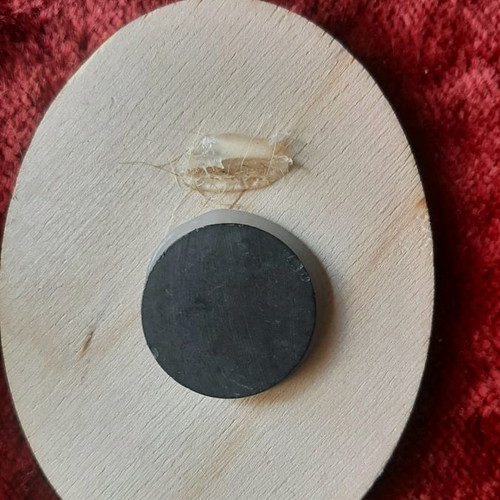 Wooden magnet used
