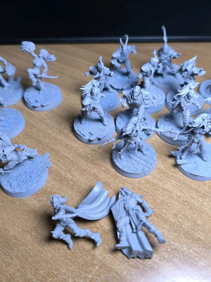 Bloodbowl Dark Elf Naggaroth Nightmares new team with extra Forge World miniatures