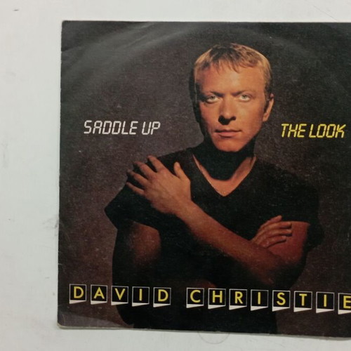 David Christie 45 RPM record used