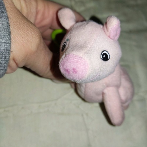 Small plush used with pouch and ring