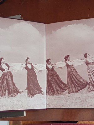 Nelly’s Autoportrait book used