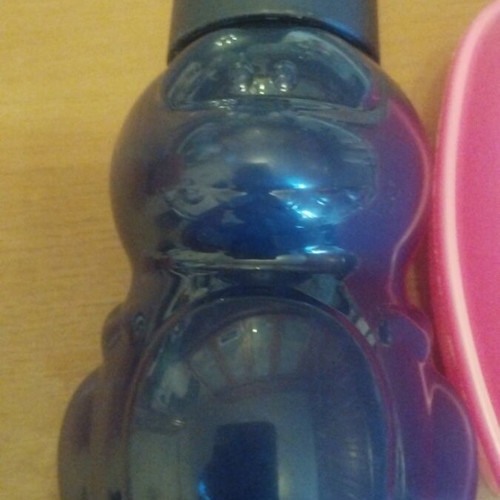 Tupperware bottle and Disney food container used, gift plastic fork