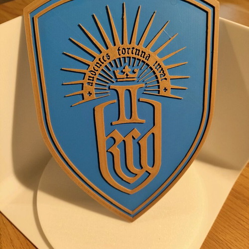Kingdom Come Deliverance 2 ασπίδα καινούργια, πλαστική 3d printed