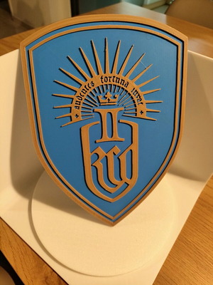 Kingdom Come Deliverance 2 ασπίδα καινούργια, πλαστική 3d printed