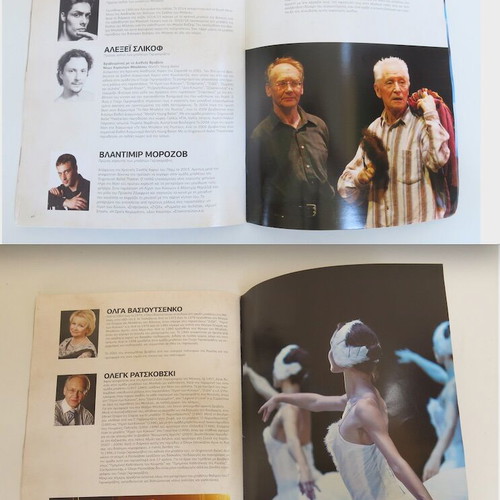 Swan Lake Concert Program like new