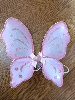 Butterfly wings like new