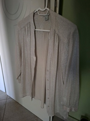 H&M Elegant Shimmer Shirt No 46 like new, champagne color