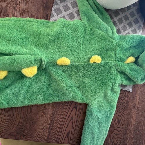 Dinosaur carnival costume for 18/24 months like new