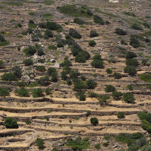 Agricultural land 2,370 m² with 21 olive trees, out of plan, mountain view in Elaionas