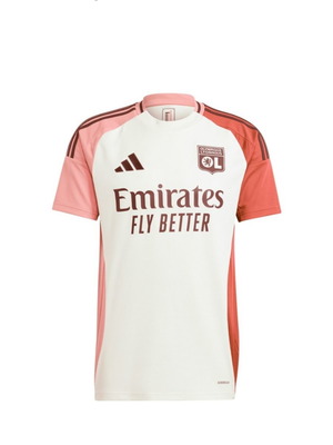 Olympique Lyon Third Shirt 2024-25 new, fan version, size large