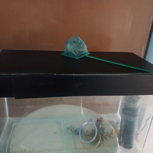 Aquarium used with lighting, filter, oxygen device, and decoration