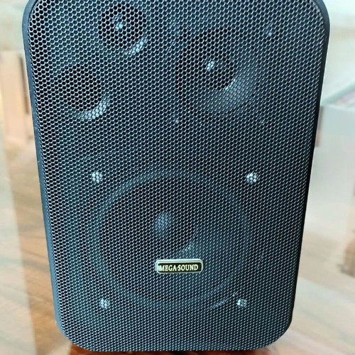 Pas Megasound 60 Watt 3-Way Wall Speaker new, 8Ω