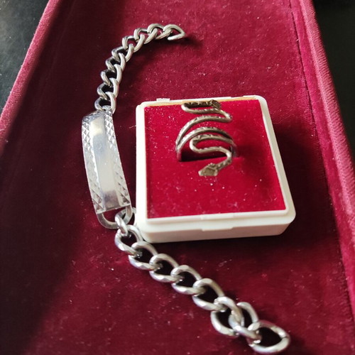 Snake ring and gift identity silver, new