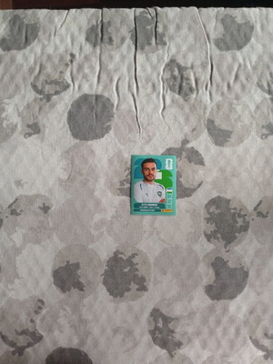 FIFA World Cup 2026 sticker UZB 17