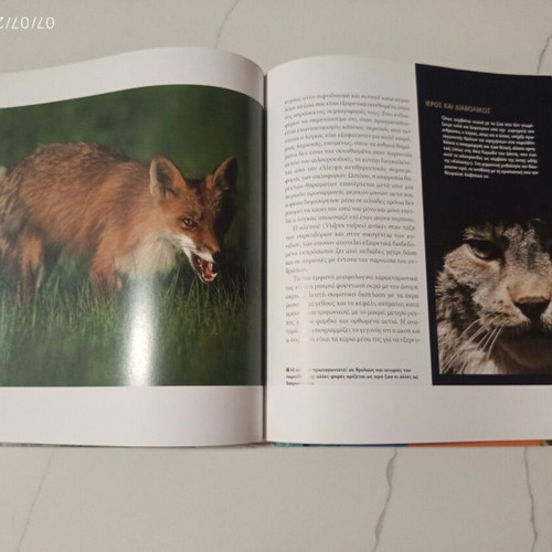 The Encyclopedia of Animals Volume 7 used, The Wolf and Mountain Animals