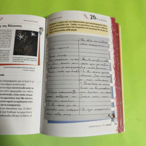 Ekthesi Theory-Examples-Exercises Like New, 2nd Grade Textbook