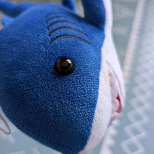Shark new toy