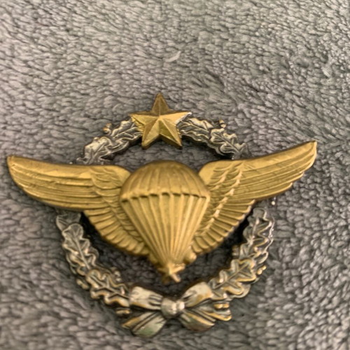 France Air Force military emblem used, metal relief