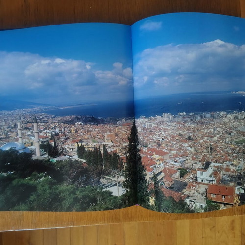 Ionia The Greeks in Asia Minor book like new